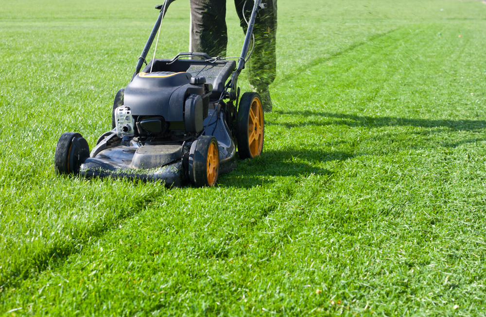 Best lawn maintenance in Pennsylvania